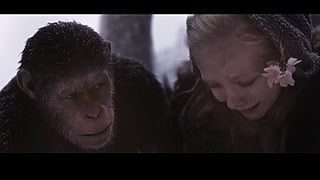 あなたは、最後を見届ける最初の人類になる。映画『猿の惑星：聖戦記（グレート・ウォー）』
