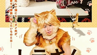 北山宏光、猫姿で家族のために奮闘！映画『トラさん～僕が猫になったワケ～』本予告映像＆新ビジュアル解禁