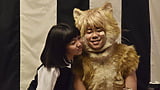 【2月22日（金）正午解禁】『トラさん～僕が猫になったワケ～』配信用画像